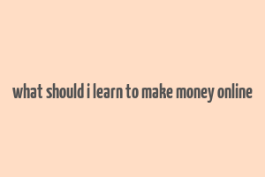 what should i learn to make money online