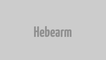 Hebearm