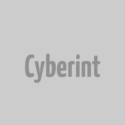 Cyberint logo