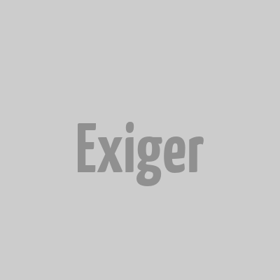 Exiger logo