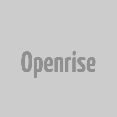 Openrise logo