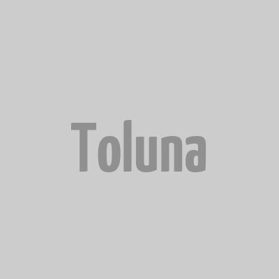 Toluna logo