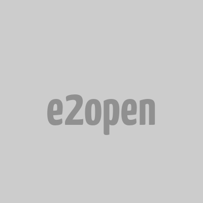 e2open logo