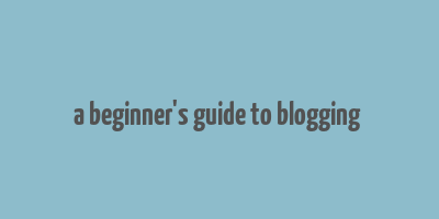 a beginner's guide to blogging & making money online pdf