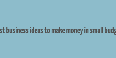 best business ideas to make money in small budget