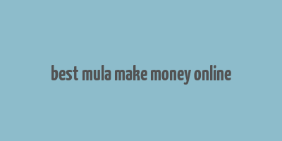 best mula make money online