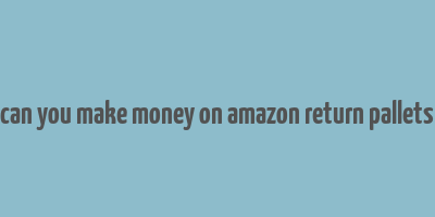 can you make money on amazon return pallets