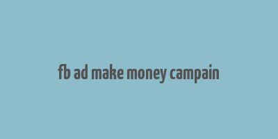 fb ad make money campain