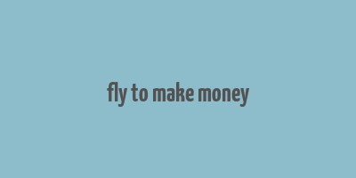 fly to make money