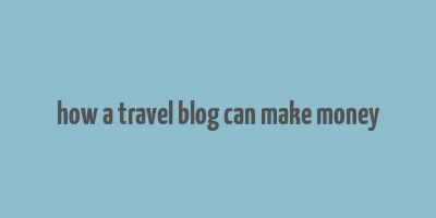 how a travel blog can make money