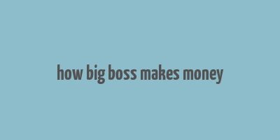 how big boss makes money