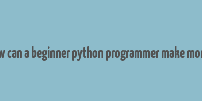 how can a beginner python programmer make money