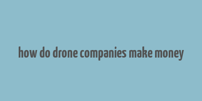 how do drone companies make money