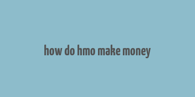 how do hmo make money