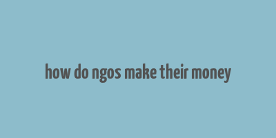 how do ngos make their money