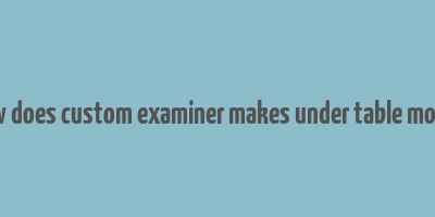 how does custom examiner makes under table money