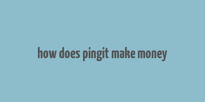 how does pingit make money