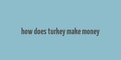 how does turkey make money