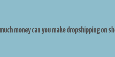 how much money can you make dropshipping on shopify