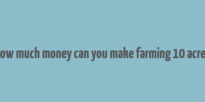 how much money can you make farming 10 acres