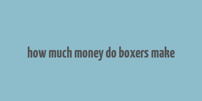 how much money do boxers make