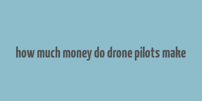 how much money do drone pilots make