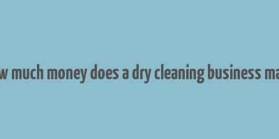 how much money does a dry cleaning business make