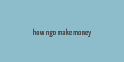 how ngo make money