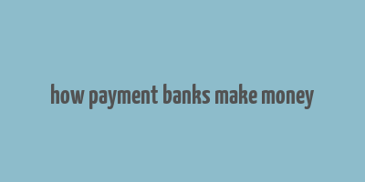 how payment banks make money