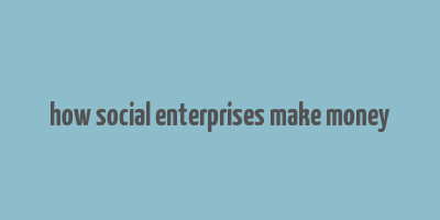 how social enterprises make money