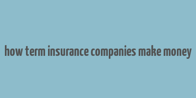 how term insurance companies make money