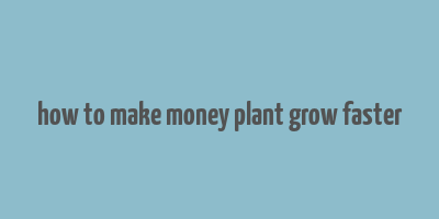 how to make money plant grow faster