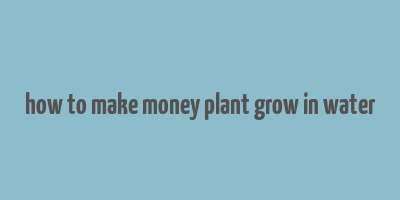 how to make money plant grow in water