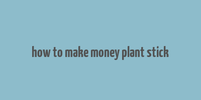 how to make money plant stick