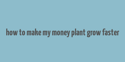 how to make my money plant grow faster