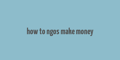 how to ngos make money