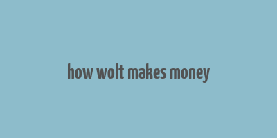 how wolt makes money