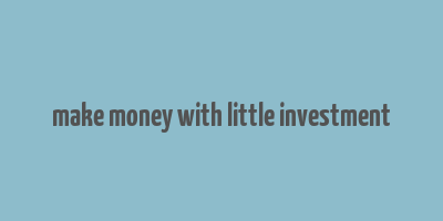 make money with little investment