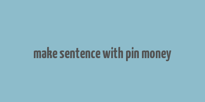 make sentence with pin money