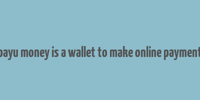 payu money is a wallet to make online payment