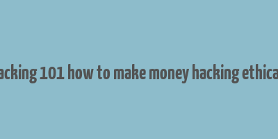 web hacking 101 how to make money hacking ethically pdf