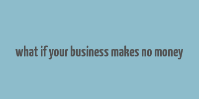 what if your business makes no money