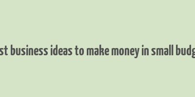 best business ideas to make money in small budget