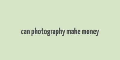 can photography make money