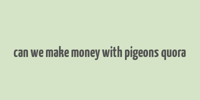 can we make money with pigeons quora