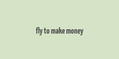 fly to make money