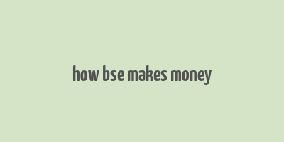 how bse makes money