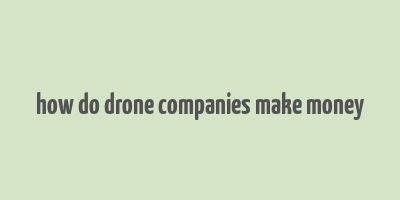 how do drone companies make money