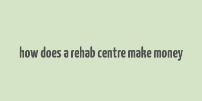 how does a rehab centre make money