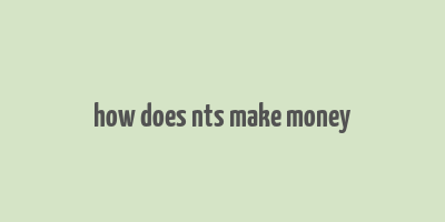 how does nts make money